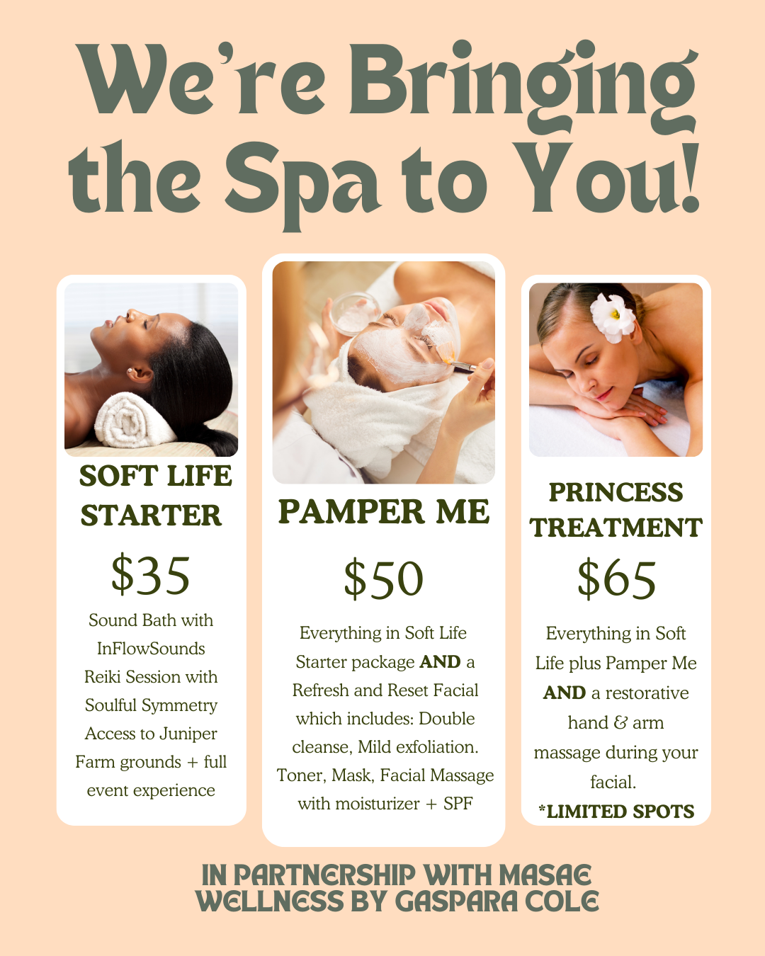 Soft Life Saturday Wellness Day SEPT 13 1-4pm